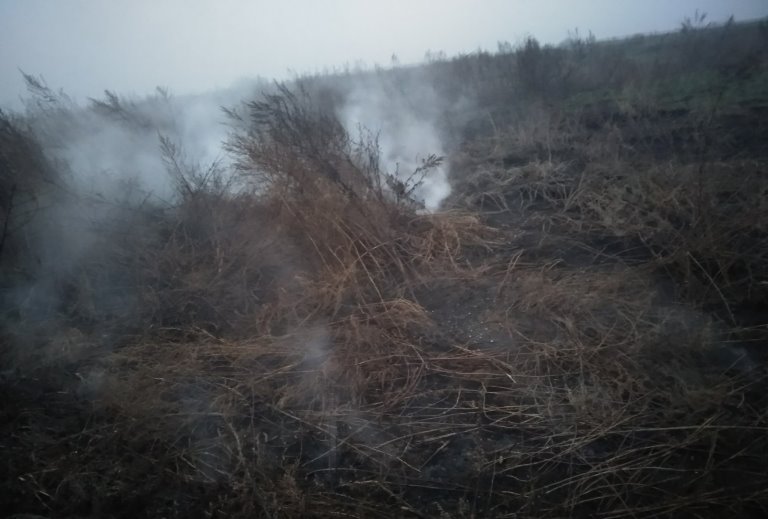 Под Киевом горят торфяники