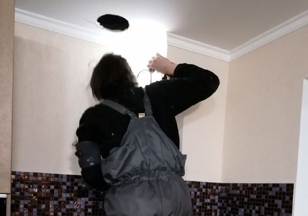 В доме под Киевом разломали потолок ради спасения котенка