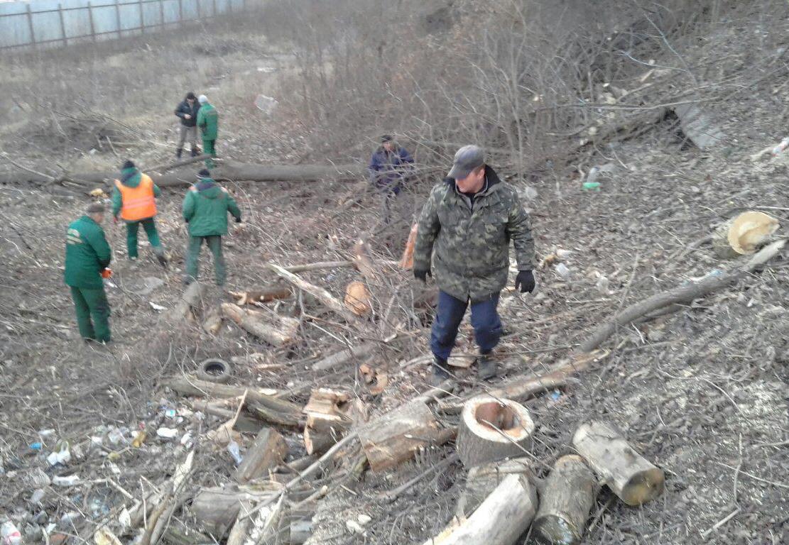 Коммунальщики рассказали, зачем срубили полсотни деревьев на Подоле