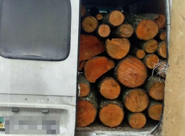 Под Киевом остановили машину, набитую древесиной