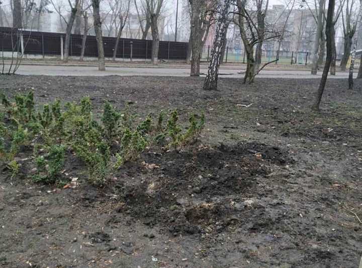 В столичных скверах воруют кусты