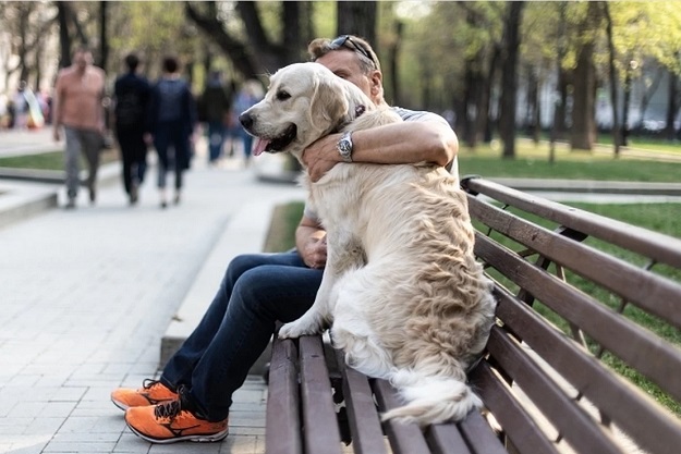 В Киеве владельцев собак предлагают штрафовать