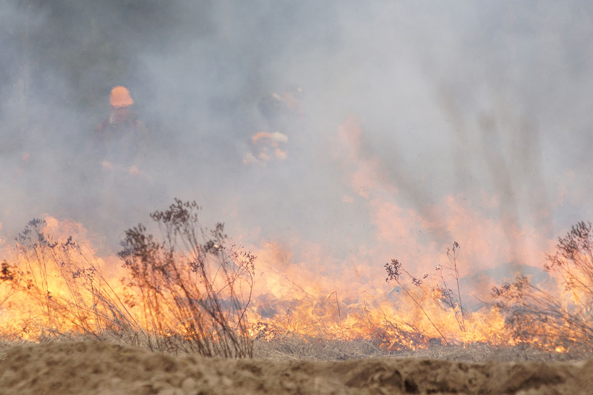 В Киеве предлагают увеличить штрафы за сжигание травы