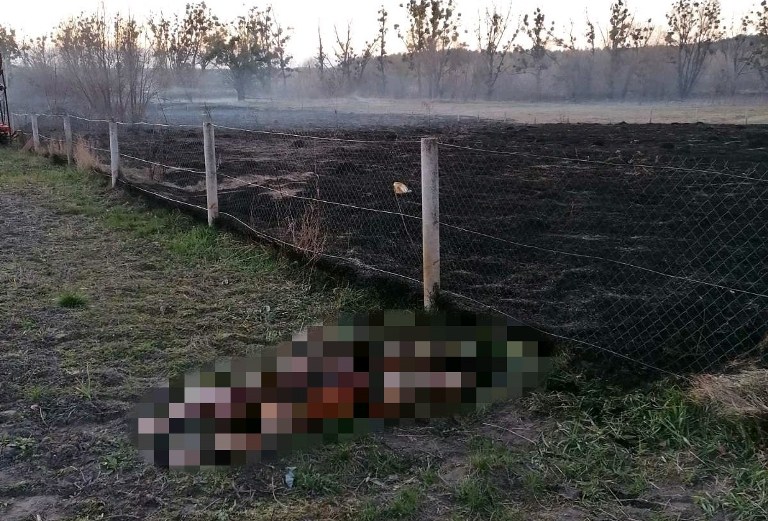 В выжженной траве под Киевом нашли обгоревший труп