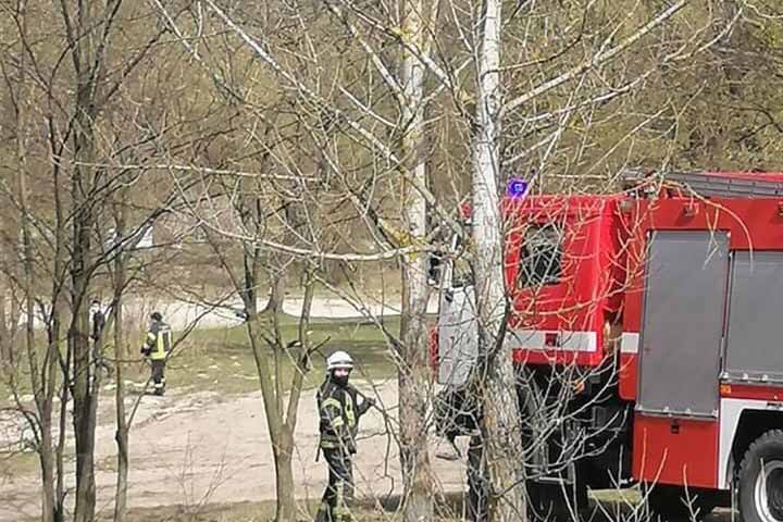 На Виноградаре подростки подожгли сухостой