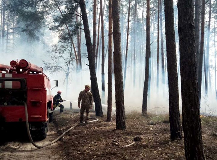 В Голосеевском лесу – пожар, гибнут животные