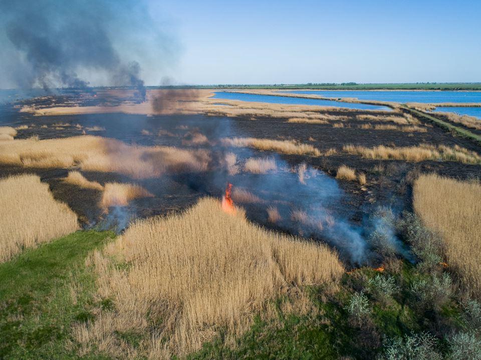 В Киевской области отлавливают поджигателей