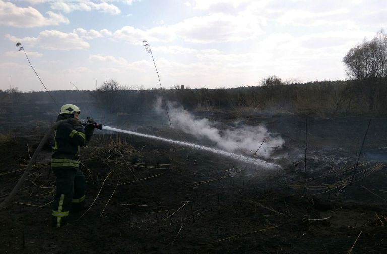 В Киеве горят торфяники