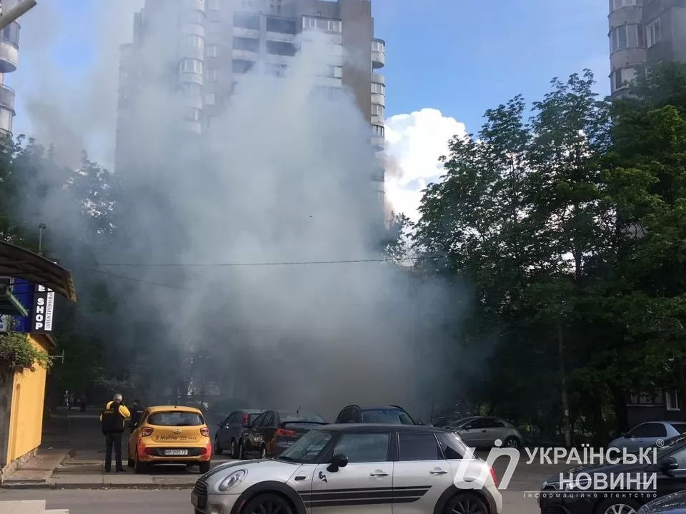 В Днепровском районе горели деревья