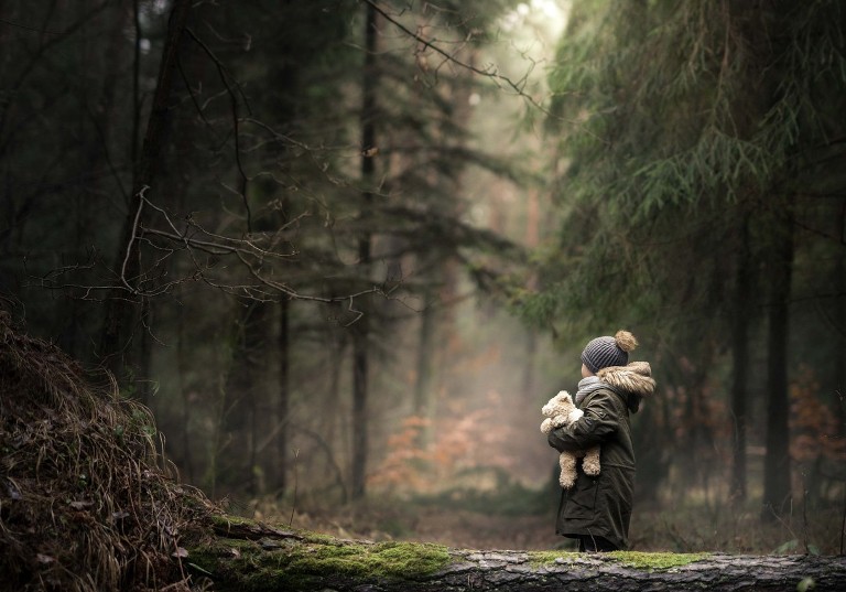 В лесу под Киевом потерялся ребенок