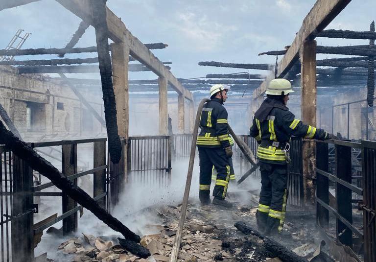 Под Киевом во время пожара погибло более ста животных