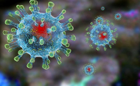 За сутки от коронавируса скончалось более двадцати человек