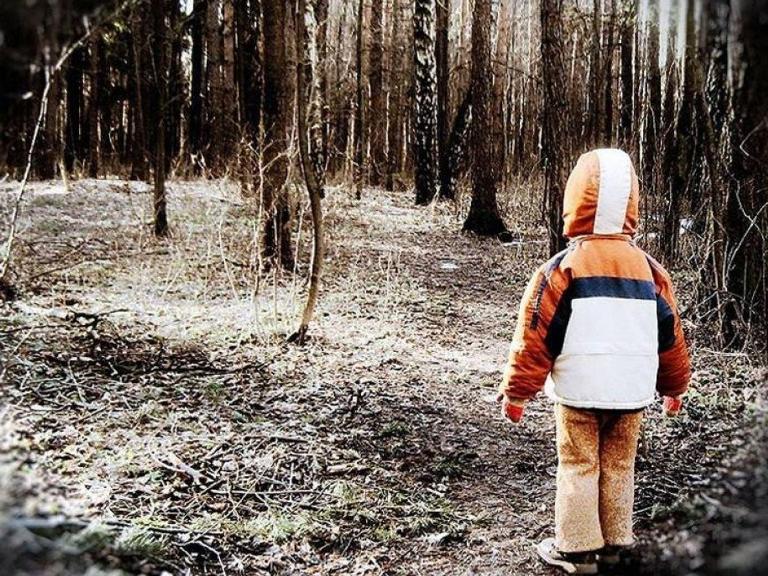 В лесу под Киевом потерялся мальчик