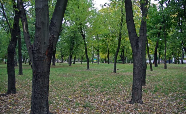 Киевляне просят реконструировать парк ДШК