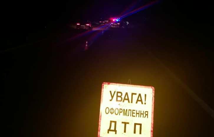 На трассе под Киевом автобус сбил лося