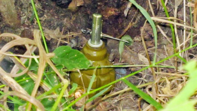 В Сырецком парке нашли "растяжку" гранат