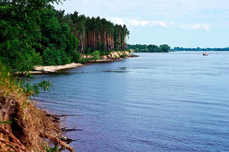 Спасателям пришлось ночевать на Киевском море из-за лебедя