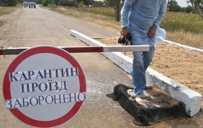 В Борисполе объявлен карантин из-за бешенства