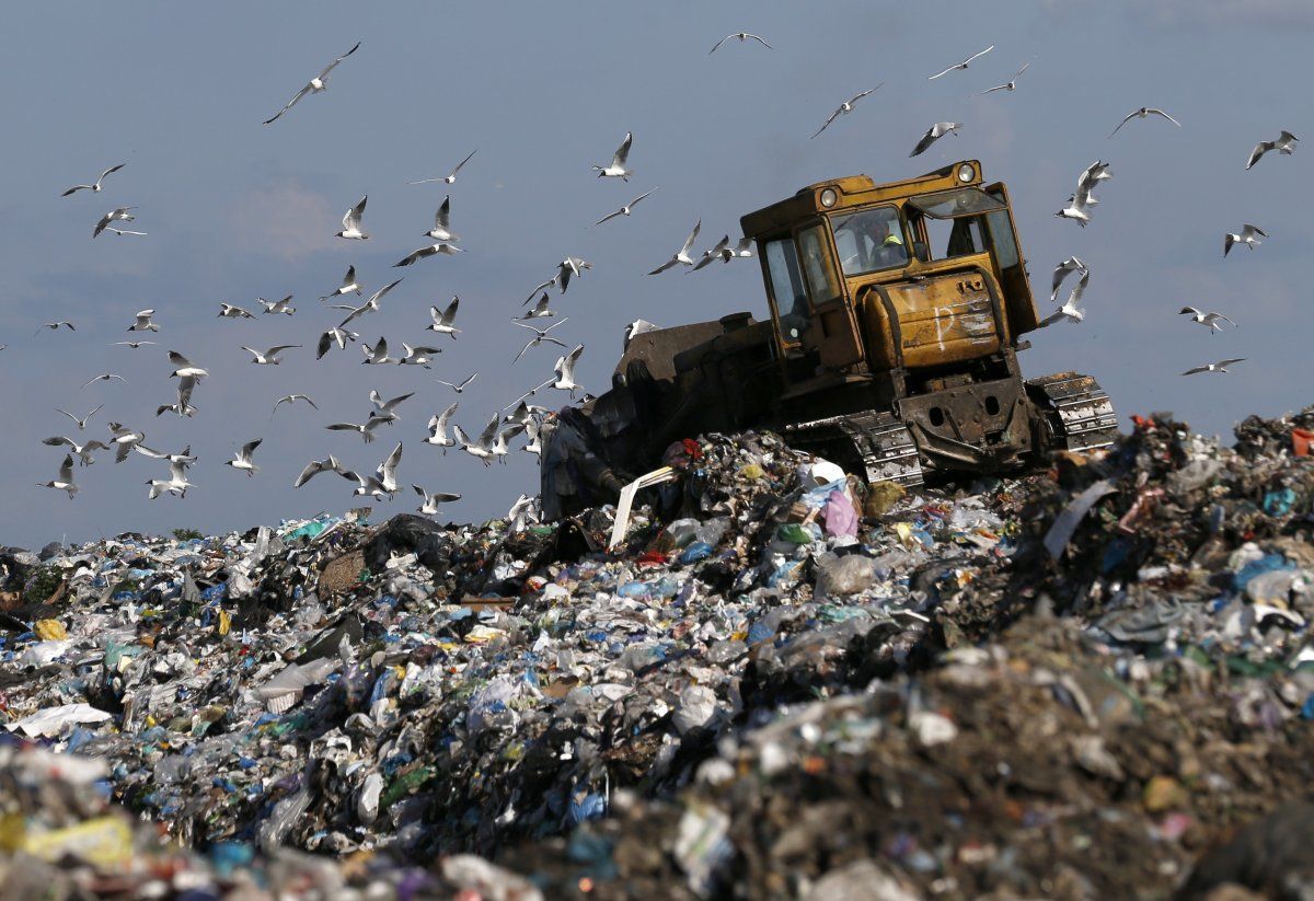 Под Киевом блокировали мусорный полигон