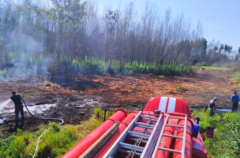 На Киевщине горят торфяники