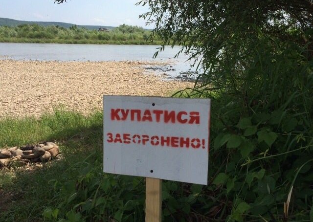 Популярные пляжи Киева непригодны для купания