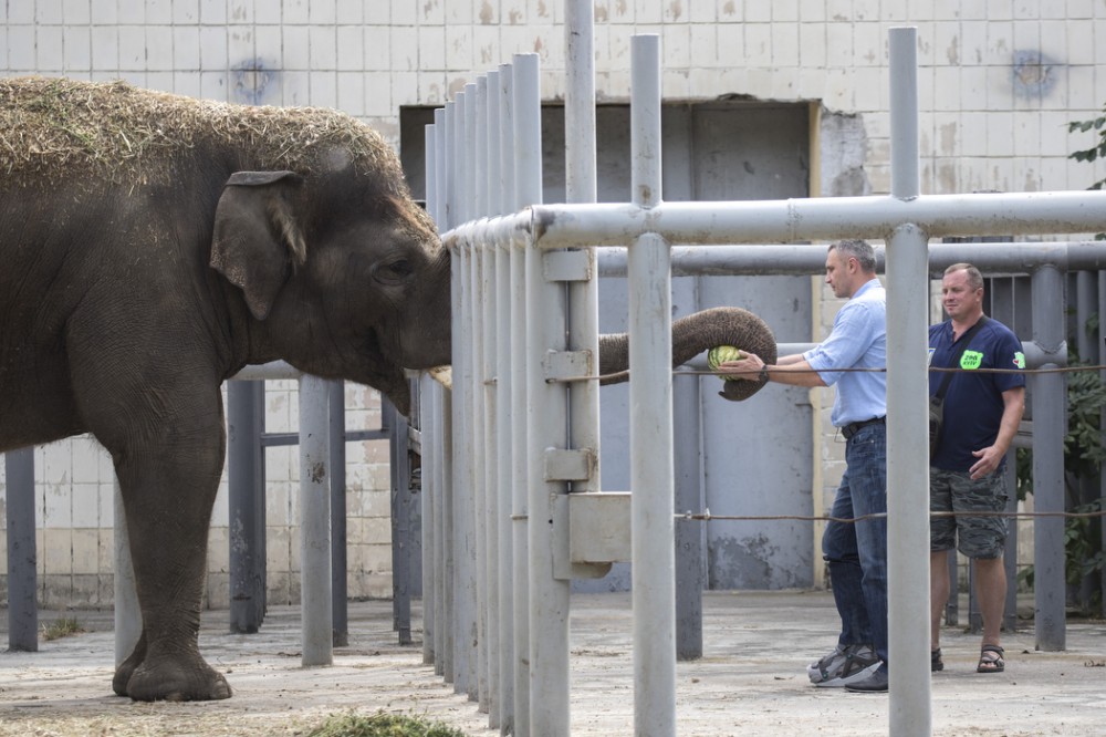 В Киевском зоопарке устроят арбузный уикенд