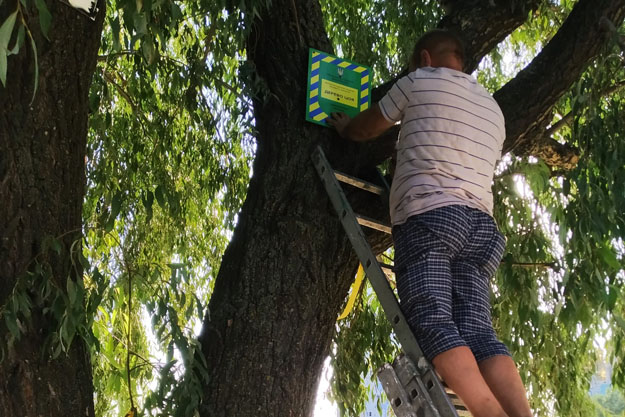 В Киеве к деревьям прикрепили охранные знаки