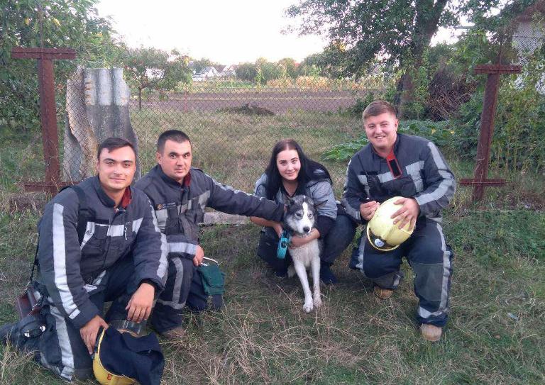 Из колодца под Киевом спасли собаку