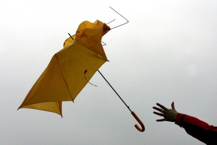 Киевлян предупреждают об опасности из-за ветра