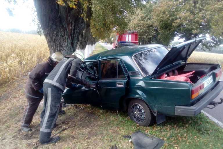 Возле Василькова водитель погиб, врезавшись в дерево