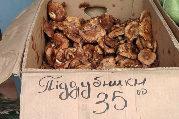 На рынке в Броварах продают несъедобные грибы