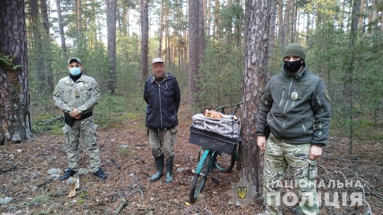 В Чернобыльской зоне задержаны грибники-браконьеры