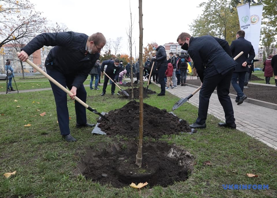 В Киеве высадили деревья