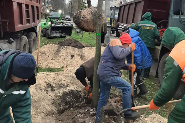 В Днепровском районе высадили новые деревья