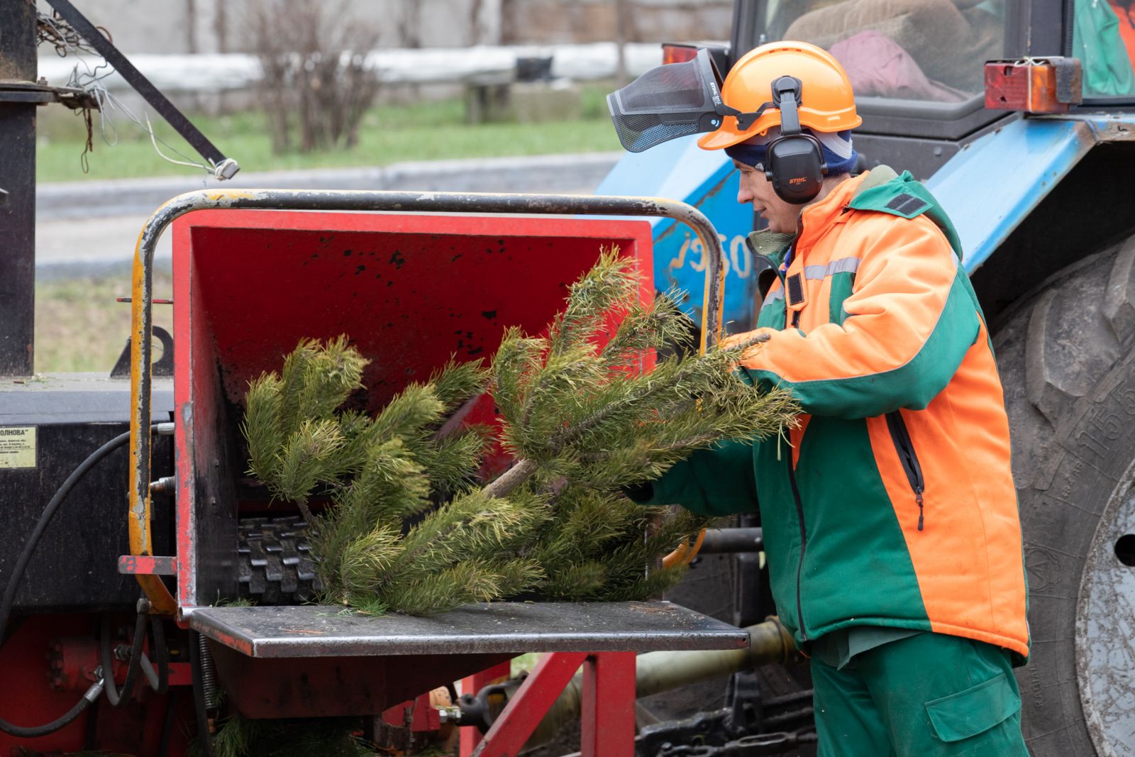 В Киеве принимают использованные елки