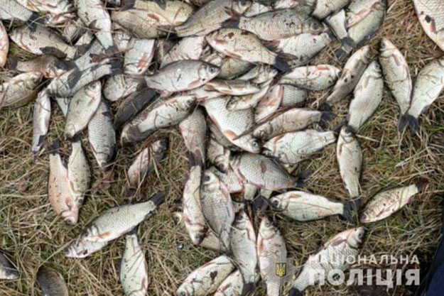 В Киевской области поймали рыбаков-браконьеров