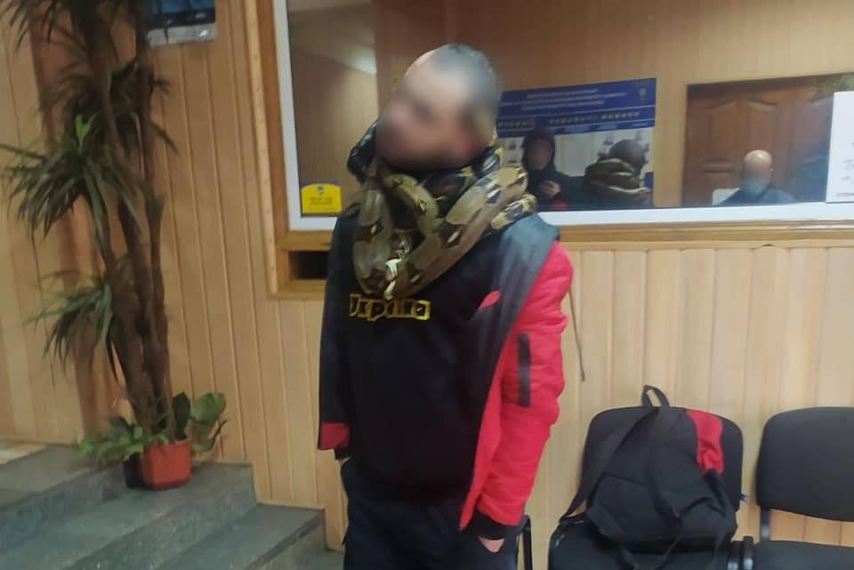 В Киеве патрульные отобрали у пьяного прохожего двух питонов
