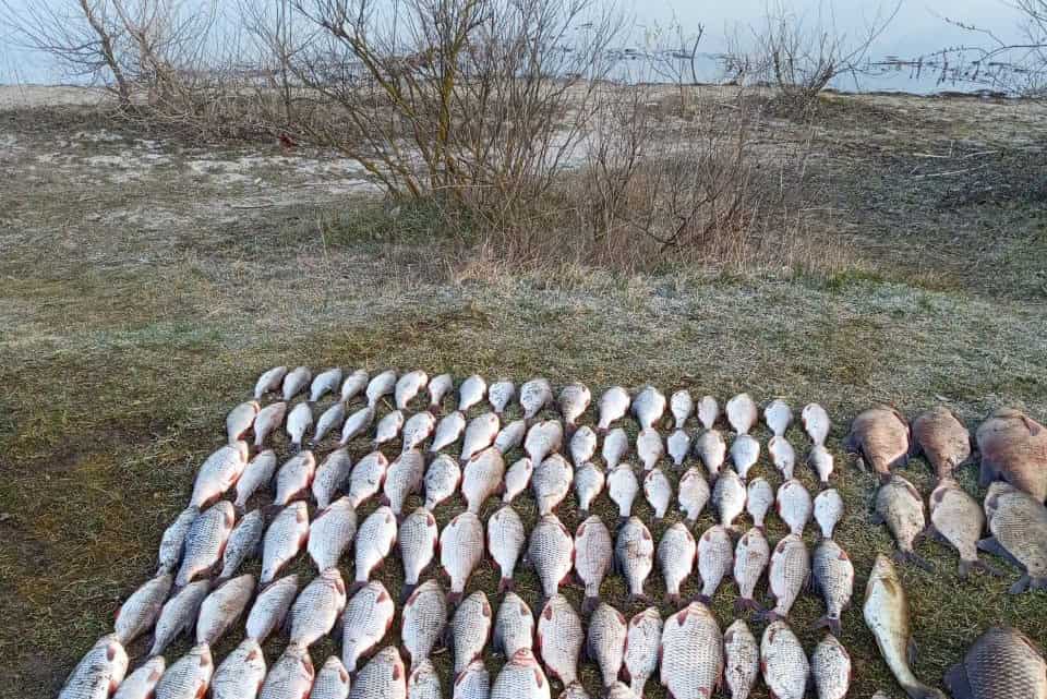 В Киевской области браконьеры нанесли ущерб почти на 44 тысячи гривен