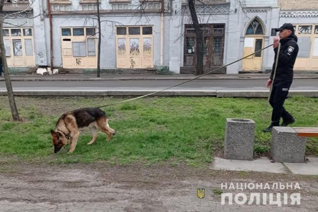 В Киеве служебный пес Алый задержал рецидивиста