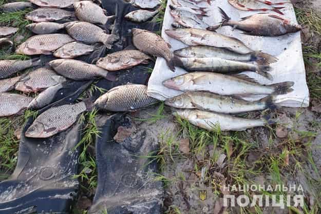 В Киевской области браконьеры поймали более ста килограммов рыбы