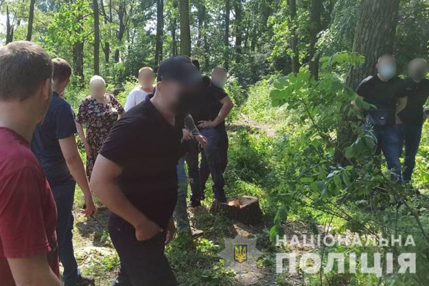 В Киевской области произошла драка между экологическими активистами и охранниками будущей стройплощадки