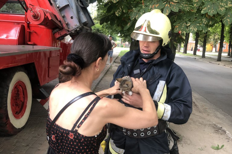 В Фастове бойцы ГСЧС спасли кота