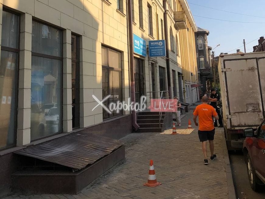 В центре Харькова выбросили с балкона пятерых щенков (фото 18+)