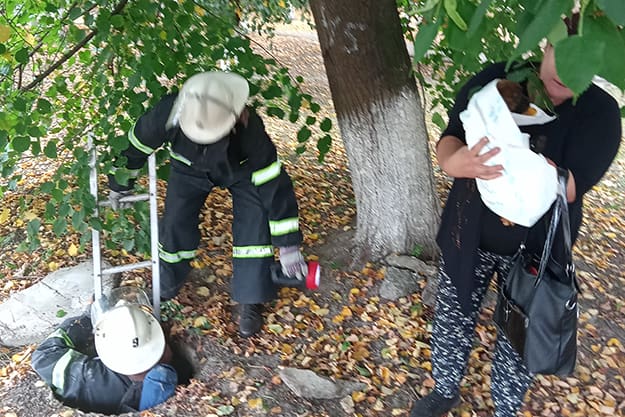 В Белоцерковском районе спасатели вытащили щенка из канализационного колодца