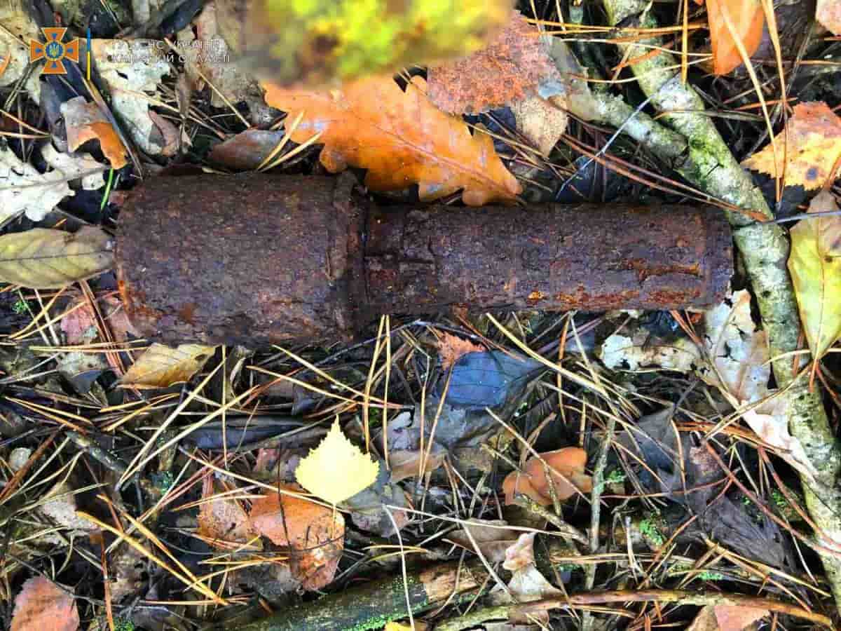 В Киевской области местная жительница пошла в лес за грибами и нашла гранату