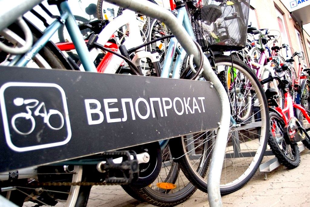 В Киеве вандалы забросили прокатный велосипед на дерево
