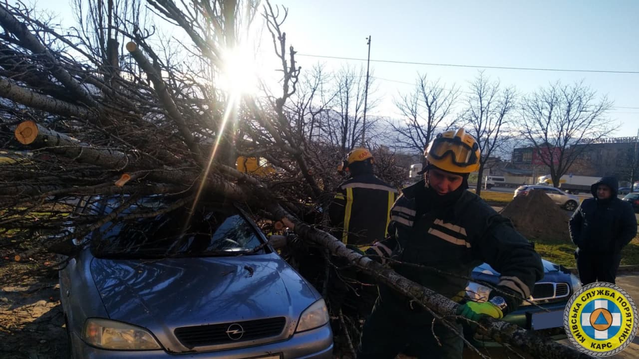 В нескольких районах Киева упавшие деревья повредили несколько автомобилей