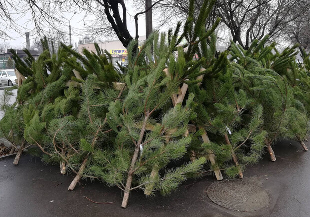 В Киеве откроют около двухсот елочных ярмарок