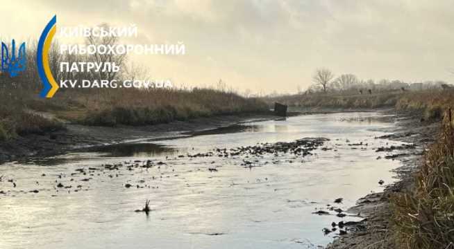 Под Киевом резко обмелел приток Днепра