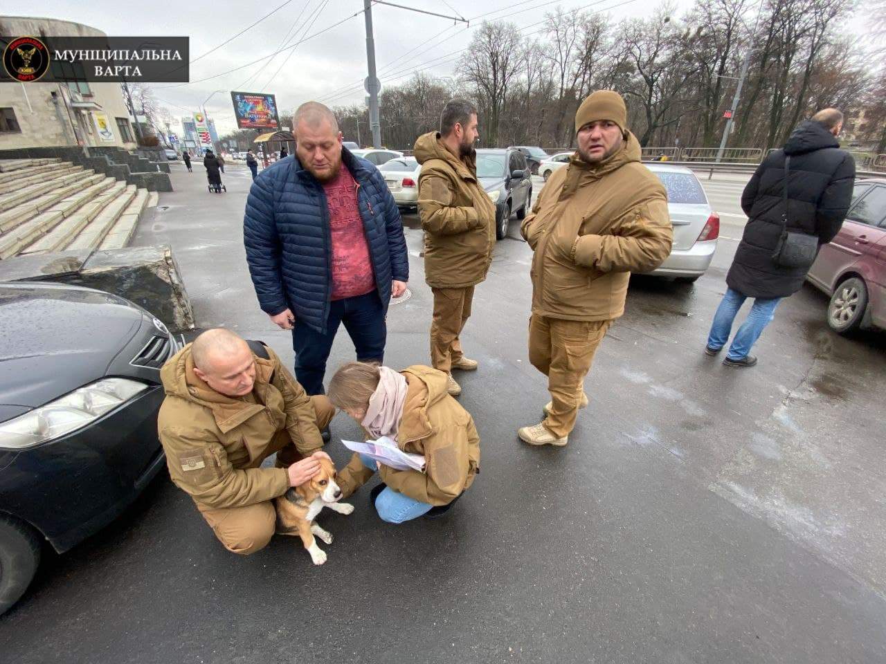 В Киеве бойцы "Муниципальной варты" остановили транспорт, чтобы спасти собаку